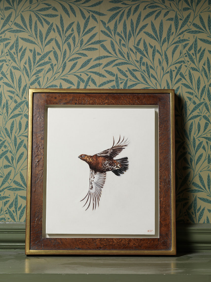 flying grouse oil painting  by anna clare lees-buckley