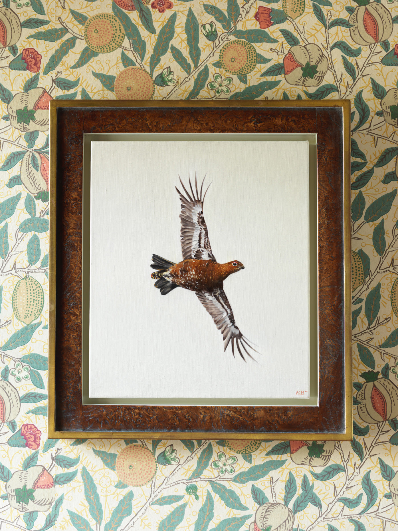 grouse bird flying by anna clare lees-buckley