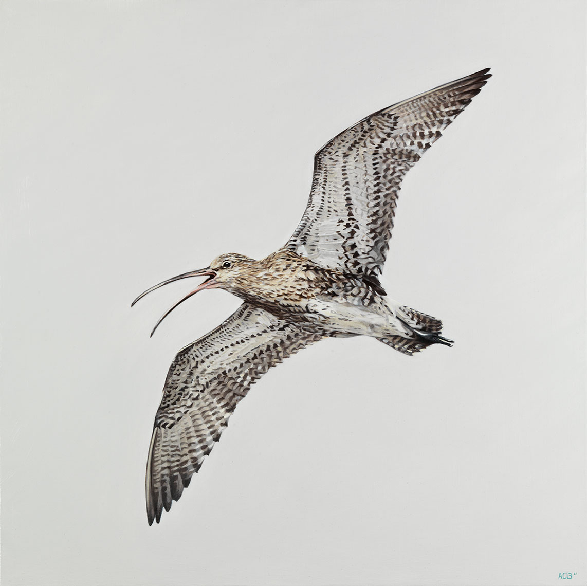 curlew bird flying oil painting by anna clare lees-buckley