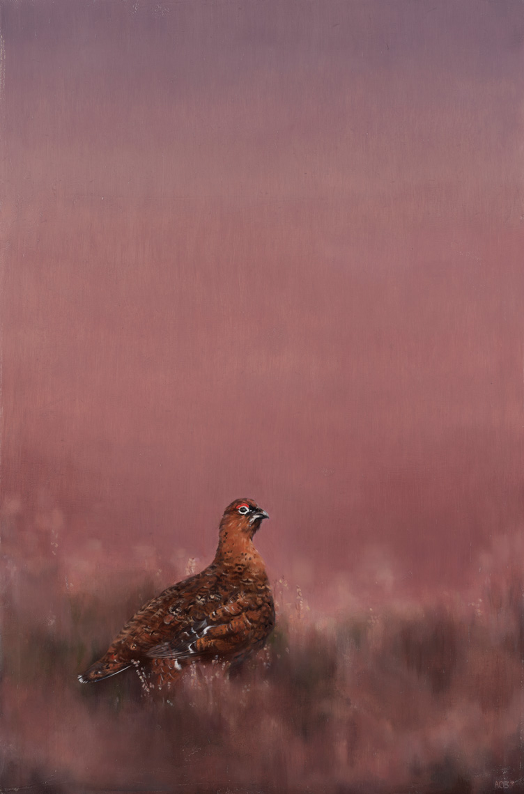 grouse bird in field painting by anna clare lees-buckley
