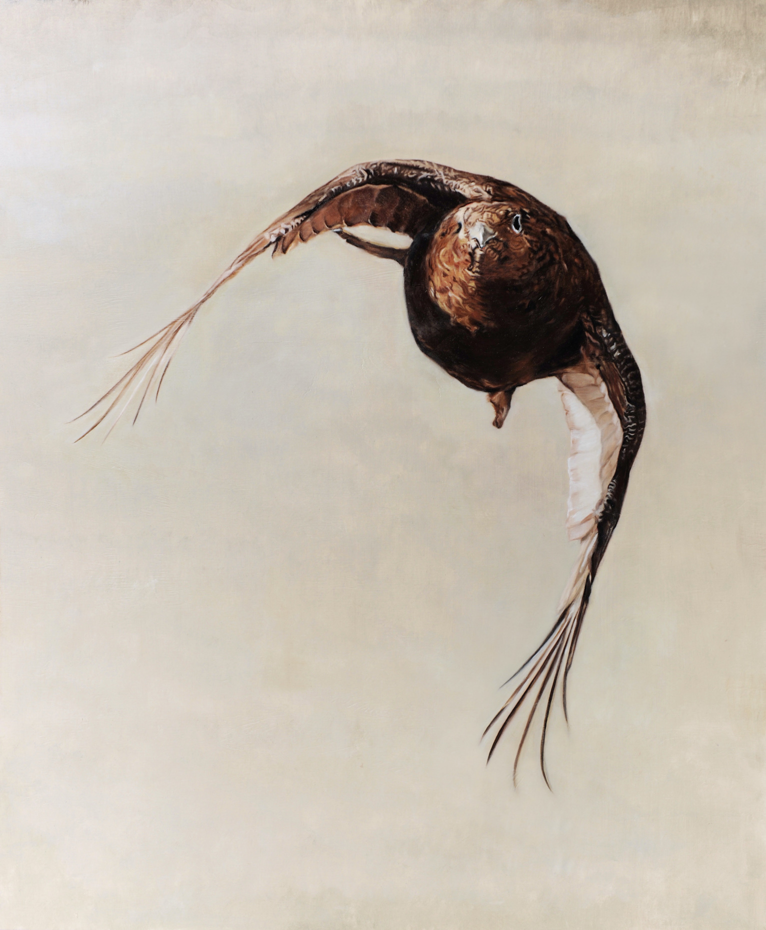 grouse bird flying by anna clare lees-buckley