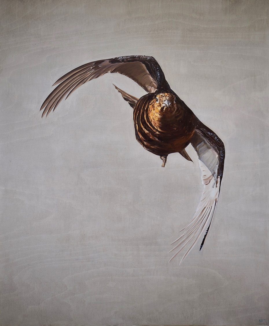 grouse bird flying game birds painting by anna clare lees-buckley