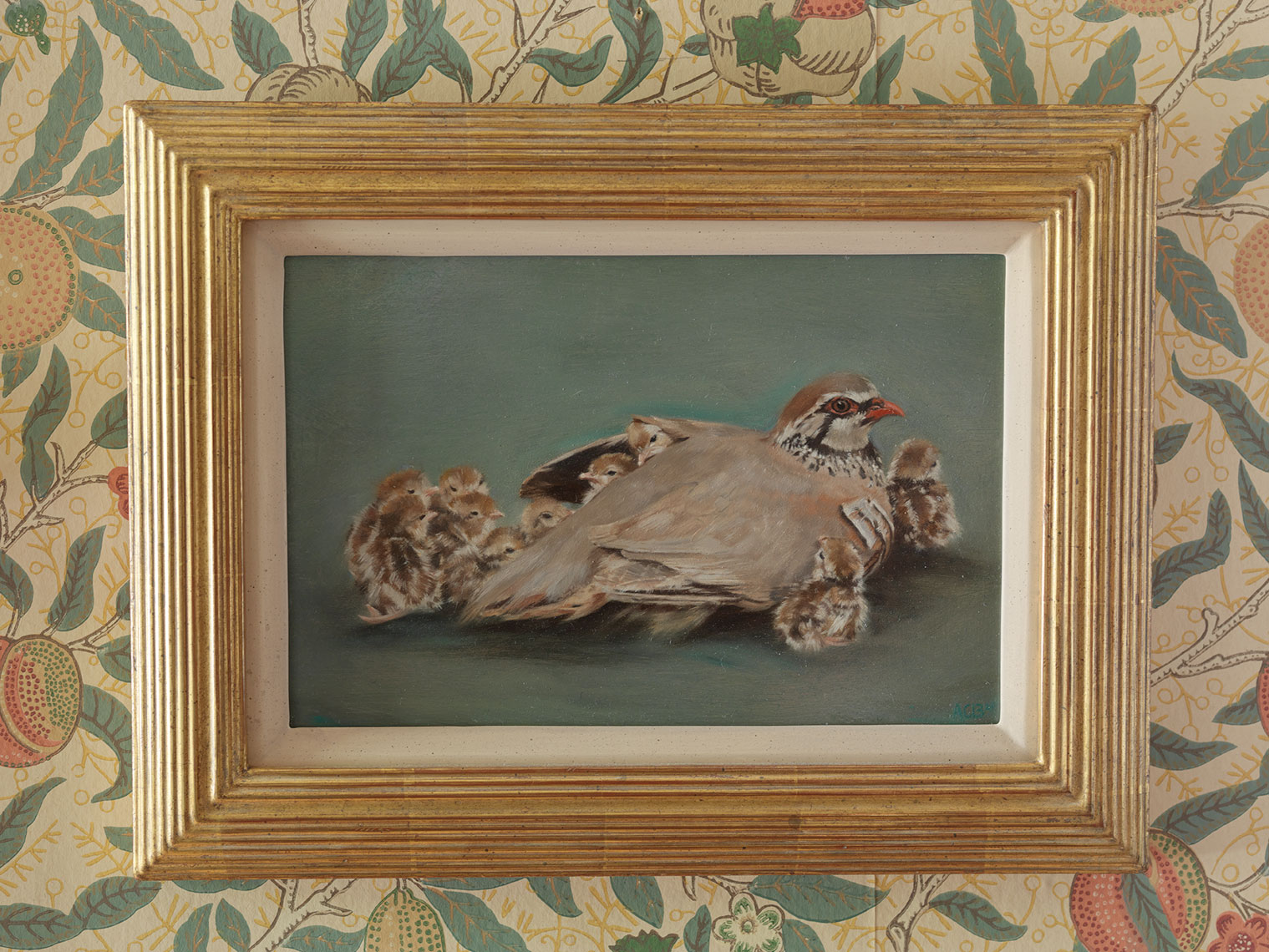 red legged partridge oil painting by anna clare lees-buckley