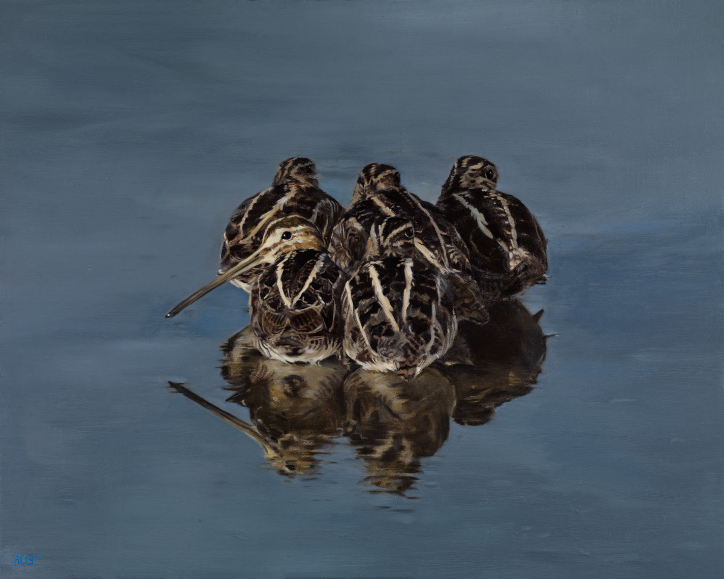 snipe bird wading by anna clare lees-buckley