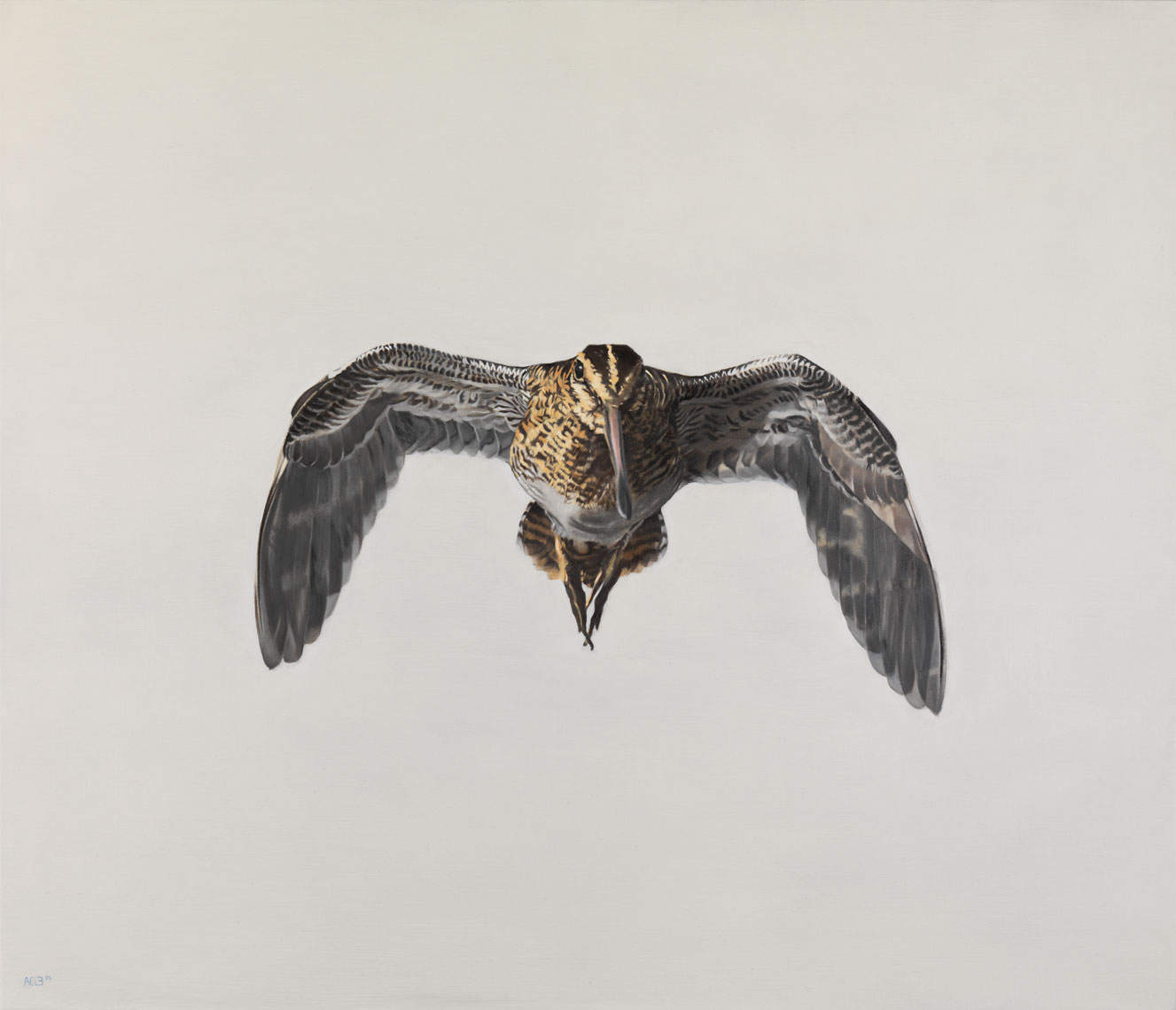 snipe bird flying by anna clare lees-buckley